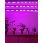 Lumina LED pentru cresterea plantelor - 1 m, Inovius