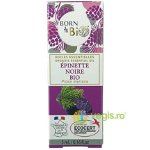 Ulei Esential de Molid Negru Ecologic/Bio 5ml, BORN TO BIO
