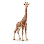 Giraffe, female, Schleich