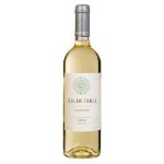 
Set 4 x Vin Alb Sol De Chile Sauvignon Blanc, Sec, 0.75 l
