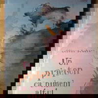 Puzzle magnetic in cutie metalica, joc de potrivire si asociere - Povesti, MIEREDU