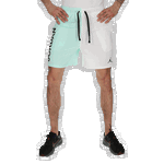 M J DF SPRT BC MESH GFX SHORT