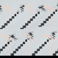 NIMFĂ HRK22 x6, CAPERLAN