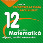 Matematica. Pentru pregatirea la clasa si bacalaureat. Algebra