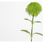 Floare artificiala Amadeus, Feuillage, poliester, 10x8 cm - Amadeus, Verde, Amadeus