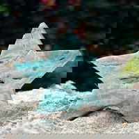 Stea aragonit albastru m2, druzy.ro - Cristale, Home Deco