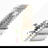 Cuier RIVA cu pantofar 2 usi, configuratia RIVA3, Oak, Alb Gloss, Tamos