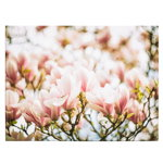Tablou flori de magnolie roz - Material produs:: Poster pe hartie FARA RAMA, Dimensiunea:: 70x100 cm, 