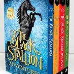 The Black Stallion Adventures! 4 Volume Boxed Set