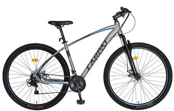 Bicicleta MTB Carpat Invictus C2957C 29", negru/albastru