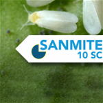 Insecticid Sanmite 10SC 500ml