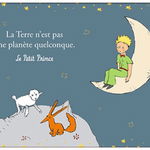 Suport pentru farfurie - Le Petit Prince - Animaux