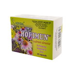 HOF.IMUN Echinacea+Vit C+Zinc, 40 capsule, Hofigal