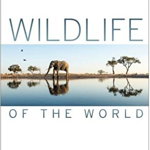Wildlife of the World - Hardcover - Dorling Kindersley (DK) - DK Publishing (Dorling Kindersley), 