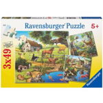 Puzzle 3 in 1 - Padure