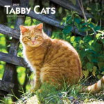 Tabby Cats - Tigerkatzen 2020 - 18-Monatskalender (Browntrout Wandkalender)