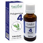 Polygemma 4 Sinusuri 30 ml, PlantExtrakt