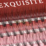 Gene false smocuri Exquisite Intense 20D Silk Lashes - 60 buc marimea L, Splendor