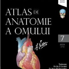 Netter Atlas de anatomie a omului, editia a 7-a - Frank H. Netter, Callisto