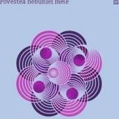 Centrul nu se mai poate susține. Povestea nebuniei mele - Elyn R. Saks, Trei