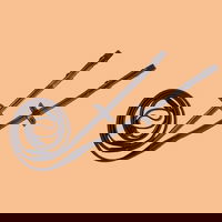 Dârlogi ponei Iniţiere