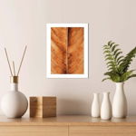 Tablou decorativ, Alpha Wall, Copper Leaf, 30x40 cm, Alpha Wall