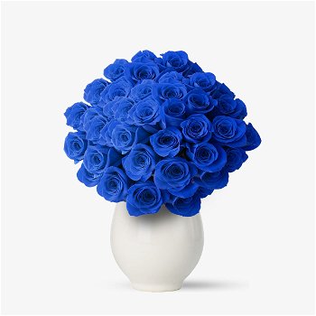 Buchet 101 trandafiri albastri - Standard, Floria