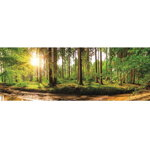 Puzzle panoramic Dino - Dawn in the Forest, 2.000 piese (56206), Dino