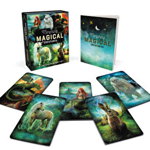 Morphing Magical Creatures: A Lenticular Magnet Set, Running Press (Author)