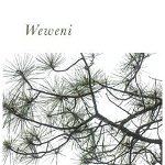 Weweni (Made in Michigan Writers)
