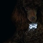 FLAMINGO Medalion ptr câini, Blinki Bone argintiu, 6 LED-uri şi baterii, 5x3x2cm, Flamingo