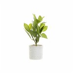 Plantă decorativă DKD Home Decor Alb Verde PVC EVA (23 x 23 x 30 cm), DKD Home Decor