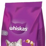 WHISKAS Hrană uscată pentru pisici Adulte, cu Somon 1,4kg, Whiskas