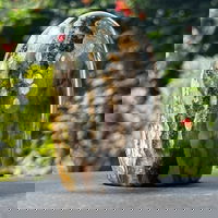 Jasp ocean structura forma libera m2, druzy.ro - Cristale, Home Deco