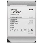 HAS5300-8T 8TB 7200 rpm, Synology