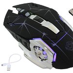 Mouse optic fara fir 1000/1200/1600 DPI, intrare USB, forma ergonomica, 122g, negru, Pro Cart