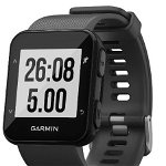 Smartwatch Garmin Forerunner 30 HR Grey