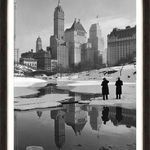 Tablou Framed Art NY Central Park