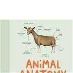 Animal Anatomy (Funny Animal Books, Funny Anatomy Books, Humor Books for Adults), Hardcover - Sophie Corrigan