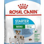 Hrana uscata pentru caini, Royal Canin, Mini Starter, 8kg