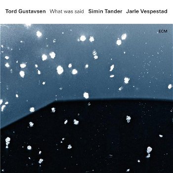 What Was Said | Tord Gustavsen, Simin Tander, Jarle Vespestad, ECM Records