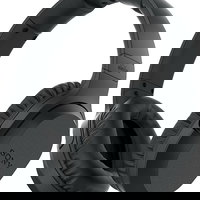 Casti On Ear Sony MDR-RF895RK