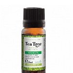 Ulei esential de arbore de ceai (tea tree) pentru uz extern, 10 ml, SANTO RAPHAEL