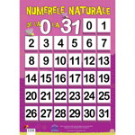 Plansa - Numerele naturale de la 0 la 31, DPH, 4-5 ani +, DPH