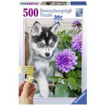 Puzzle Catel Husky, 500 Piese, Ravensburger