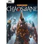 Joc pentru PC Warhammer Chaosbane