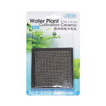 Suport ceramic cultivare plante ISTA Water Plant 6.5cm Square, patrat, E-DD05