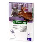 Advantage cat 4-8kg, Bayer
