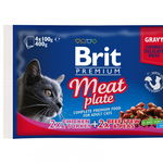 Brit Premium Multipack Meat Plate, 2 arome, pachet mixt, plic hrană umedă pisici, (în sos), 4 x 100g, Brit