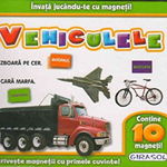 Invata jucandu-te cu magneti! Vehiculele, Girasol